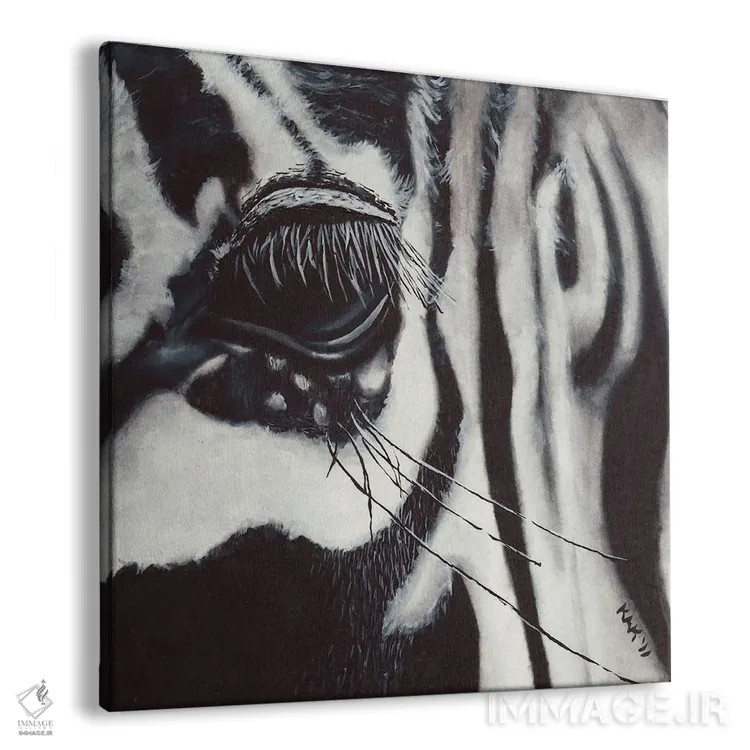 تابلو دکوراتیو چشم گورخر اثر هنر و طراحی KAK - نمای پرسپکتیو محصول