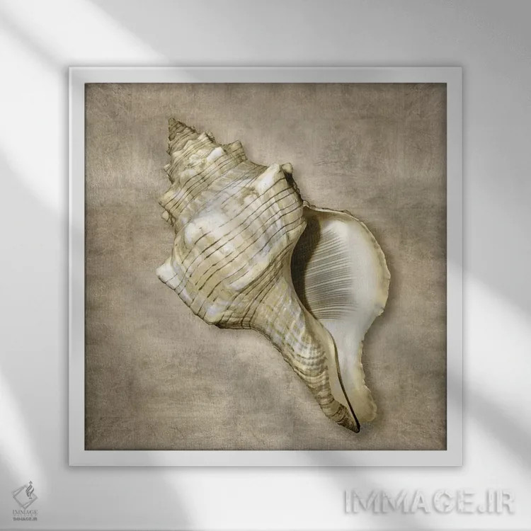 تابلو دکوراتیو موجودات دریایی طلایی III اثر کارولین کلی - نمای قابدار سفید