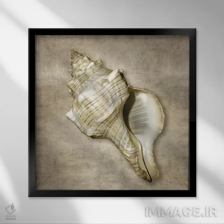 تابلو دکوراتیو موجودات دریایی طلایی III اثر کارولین کلی - نمای قابدار مشکی