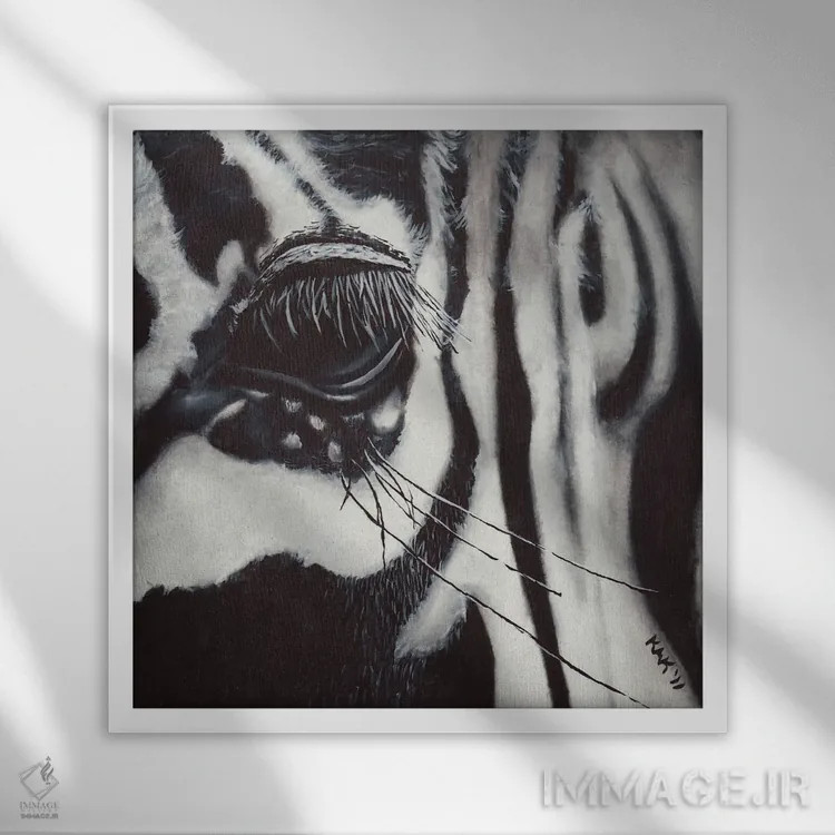 تابلو دکوراتیو چشم گورخر اثر هنر و طراحی KAK - نمای قابدار سفید