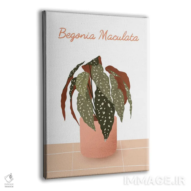 تابلو مدرن بگونیا ماکولاتا اثر ایتس فانی هو - نمای پرسپکتیو محصول