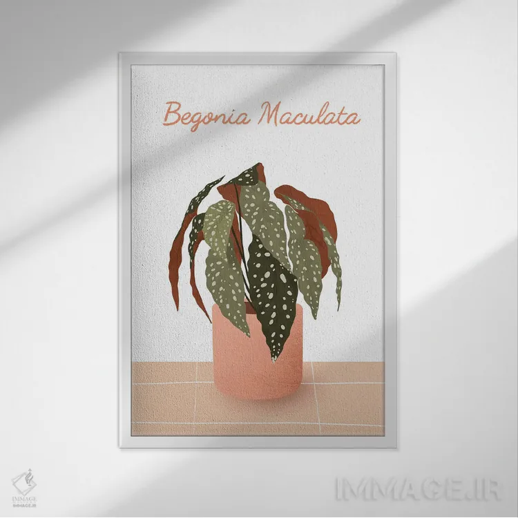 تابلو مدرن بگونیا ماکولاتا اثر ایتس فانی هو - نمای قابدار سفید