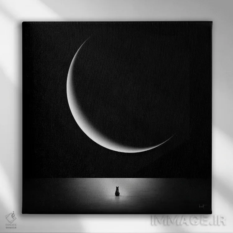 تابلو دکوراتیو شیدای ماه اثر کاترین فدرر - نمای روبهرو روی دیوار