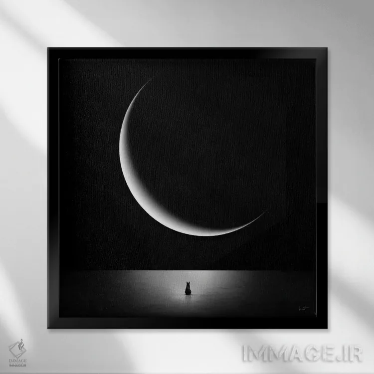 تابلو دکوراتیو شیدای ماه اثر کاترین فدرر - نمای قابدار مشکی