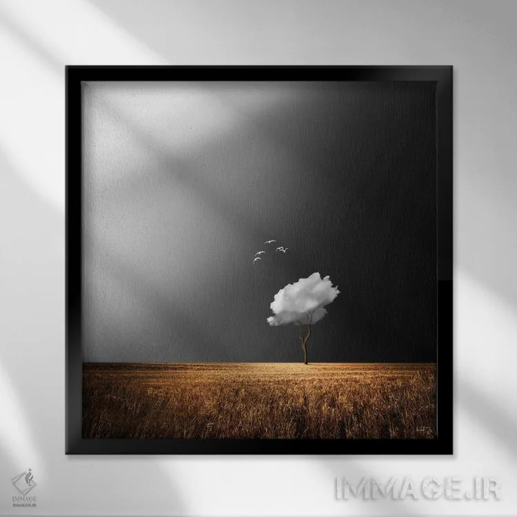 تابلو دکوراتیو پرندگان سفید اثر کاترین فدرر - نمای قابدار مشکی