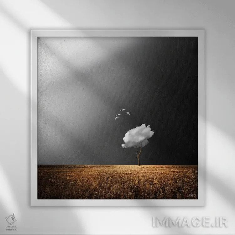 تابلو دکوراتیو پرندگان سفید اثر کاترین فدرر - نمای قابدار سفید