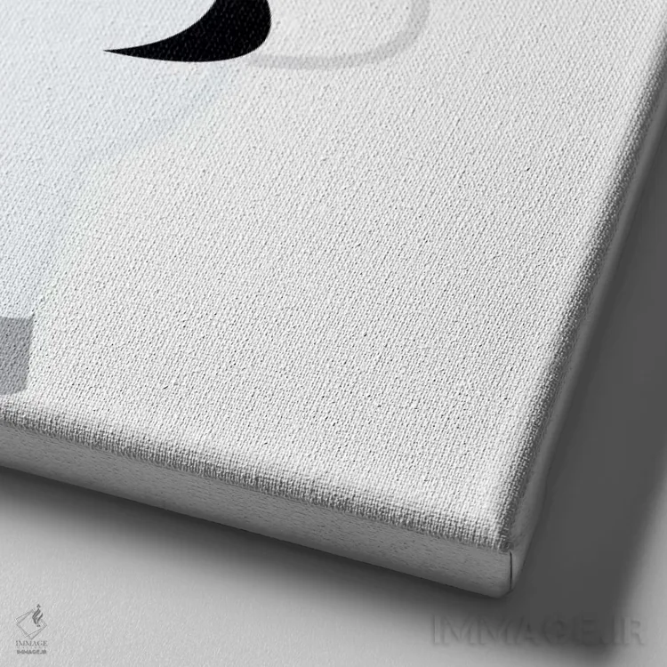 تابلو دکوراتیو Z برای گورخر اثر فایو بای فایو کالکتیو - نمای نزدیک بافت بوم