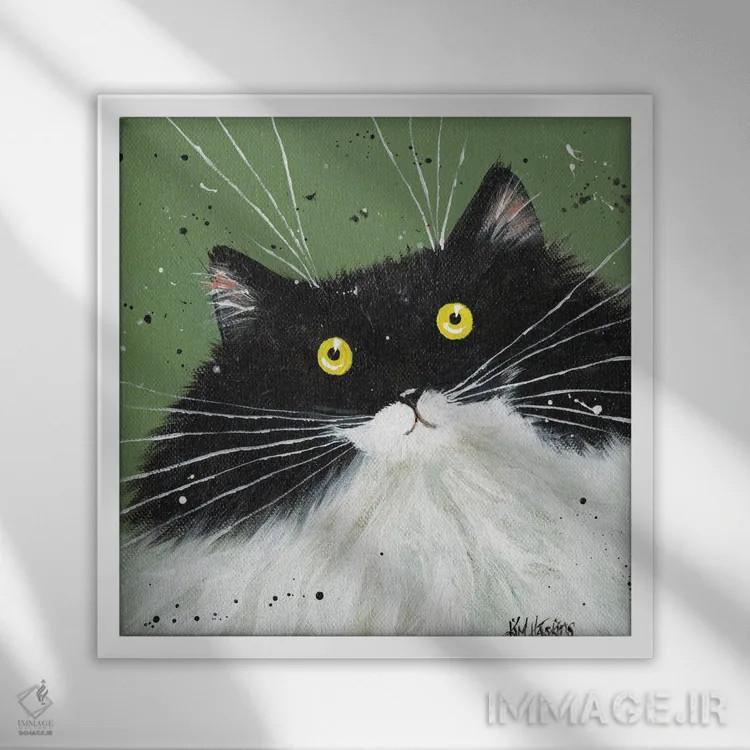 تابلو دکوراتیو تاکسیدو روی سبز نخودفرنگی اثر کیم هاسکینز - نمای قابدار سفید