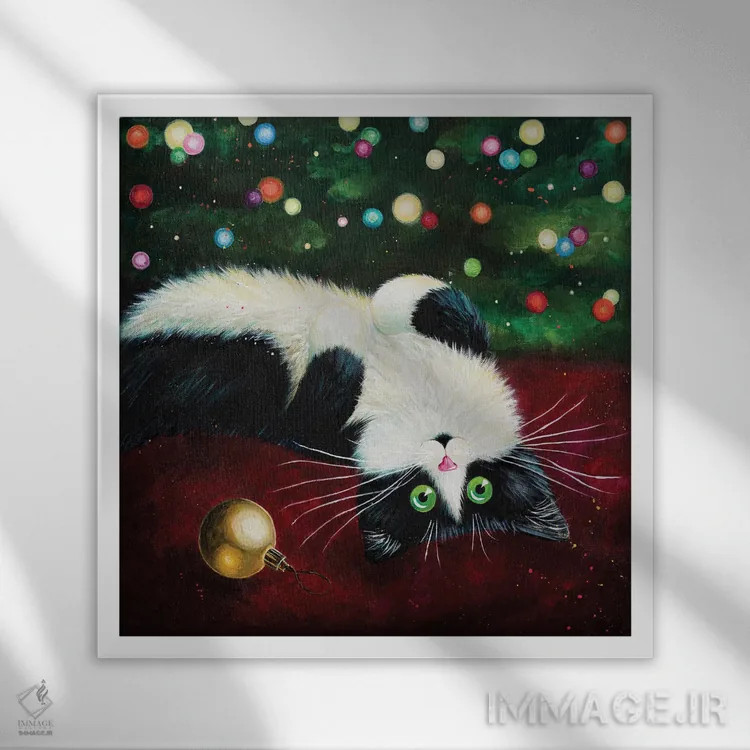 تابلو دکوراتیو گوی های تزئینی اثر کیم هاسکینز - نمای قابدار سفید