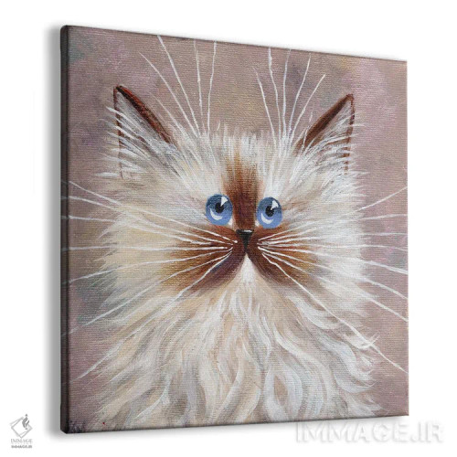 تابلو دکوراتیو بچه گربه سیل پوینت اثر کیم هاسکینز - نمای پرسپکتیو محصول
