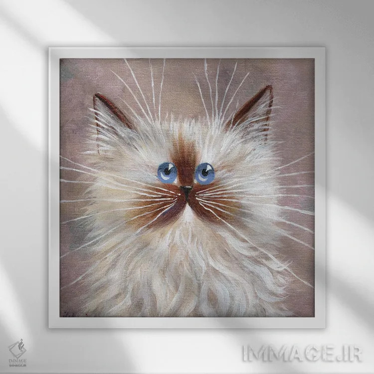 تابلو دکوراتیو بچه گربه سیل پوینت اثر کیم هاسکینز - نمای قابدار سفید