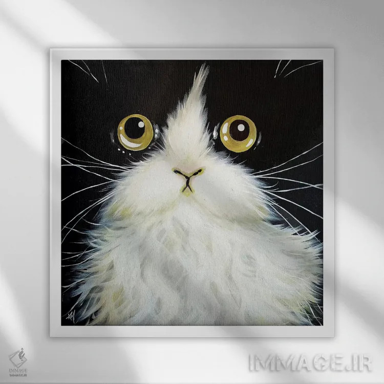 تابلو دکوراتیو گاتولا اثر کیم هاسکینز - نمای قابدار سفید