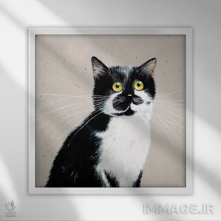 تابلو دکوراتیو مایکلز بیلی اثر کیم هاسکینز - نمای قابدار سفید