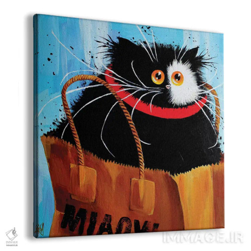 تابلو دکوراتیو کیسه میو اثر کیم هاسکینز - نمای پرسپکتیو محصول