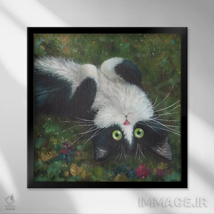 تابلو دکوراتیو شکم پشمالو اثر کیم هاسکینز - نمای قابدار مشکی