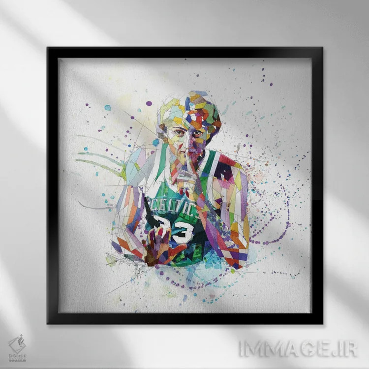 تابلو دکوراتیو لری برد اثر کاتیا اسکای - نمای قابدار مشکی