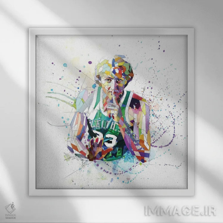 تابلو دکوراتیو لری برد اثر کاتیا اسکای - نمای قابدار سفید