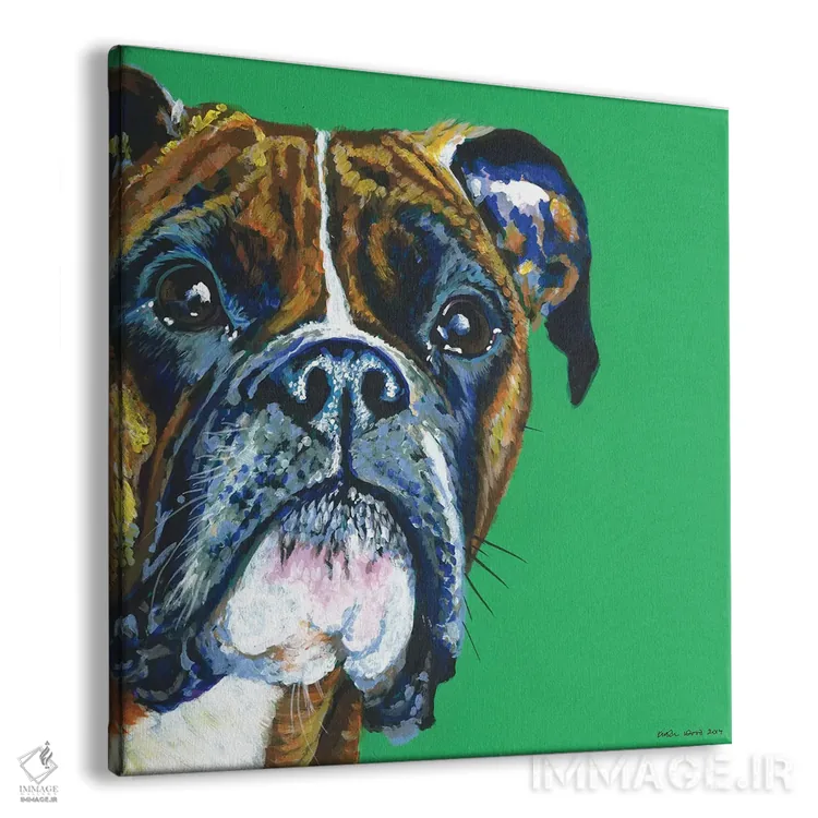 تابلو دکوراتیو باکسر روی زمینه زمردی، مربع اثر کیرستین وود - نمای پرسپکتیو محصول