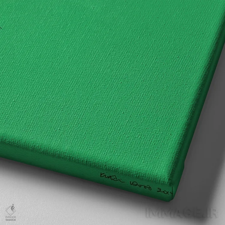 تابلو دکوراتیو باکسر روی زمینه زمردی، مربع اثر کیرستین وود - نمای نزدیک بافت بوم