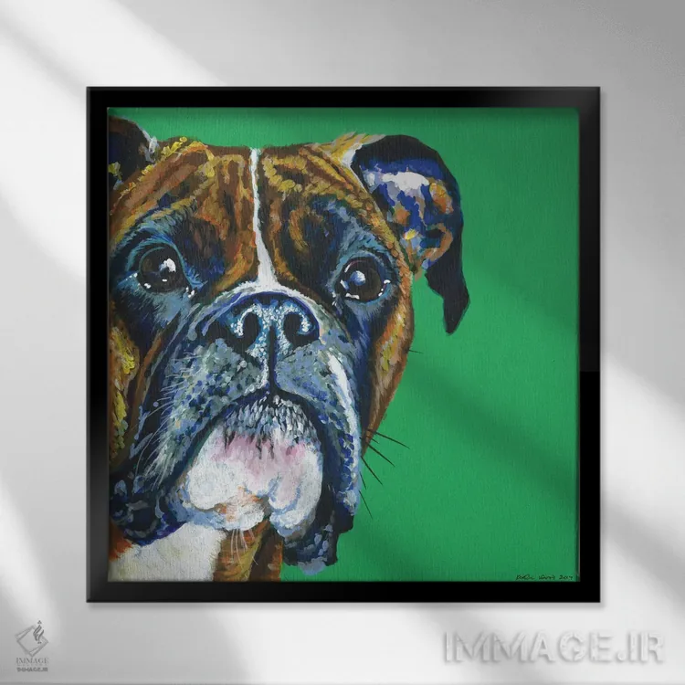 تابلو دکوراتیو باکسر روی زمینه زمردی، مربع اثر کیرستین وود - نمای قابدار مشکی