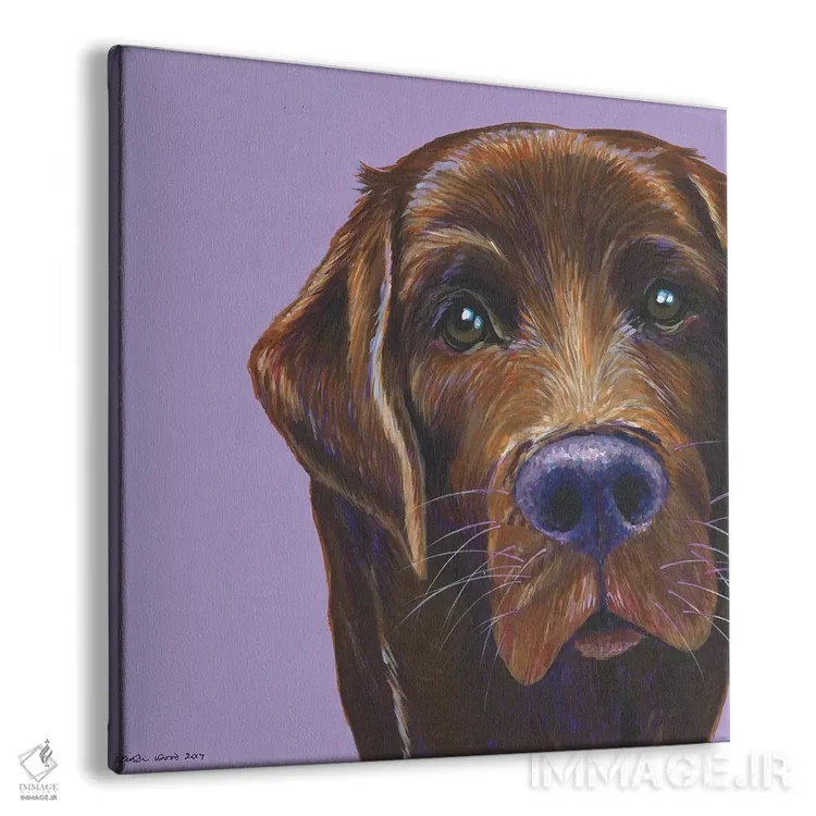 تابلو دکوراتیو لابرادور قهوه ای روی یاسی، مربع اثر کیرستین وود - نمای پرسپکتیو محصول