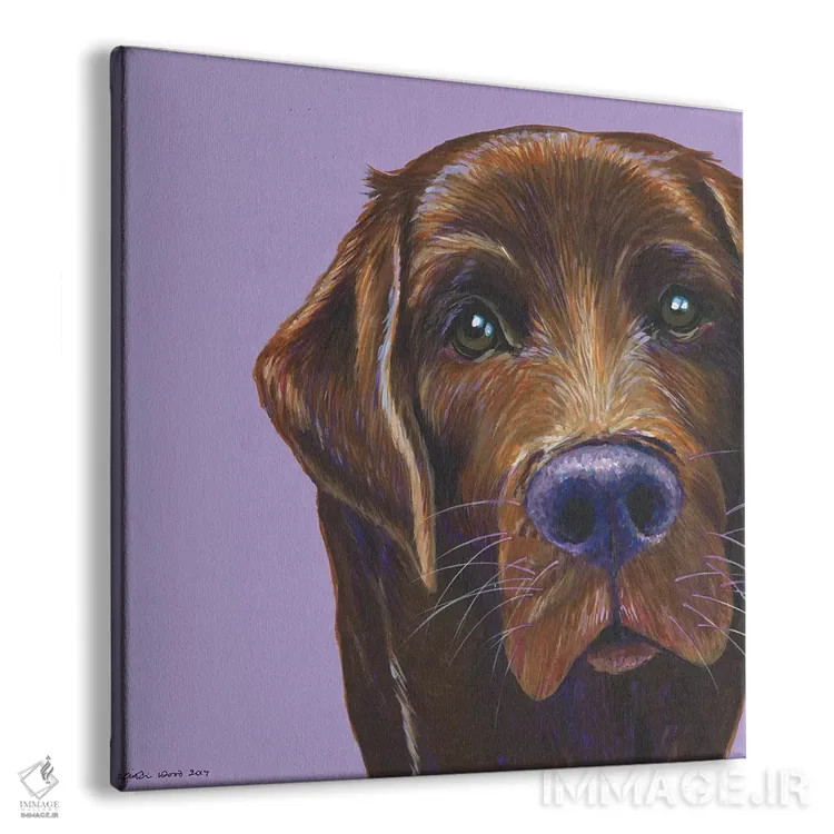 تابلو دکوراتیو لابرادور قهوه ای روی یاسی، مربع اثر کیرستین وود - نمای پرسپکتیو محصول