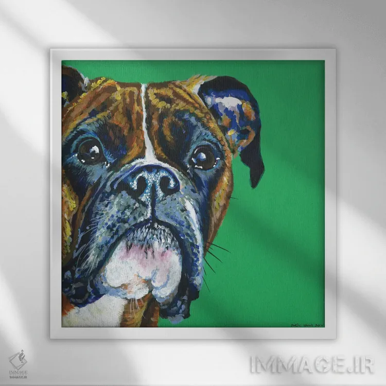 تابلو دکوراتیو باکسر روی زمینه زمردی، مربع اثر کیرستین وود - نمای قابدار سفید