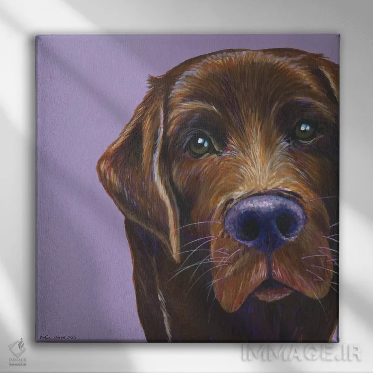 تابلو دکوراتیو لابرادور قهوه ای روی یاسی، مربع اثر کیرستین وود - نمای روبهرو روی دیوار