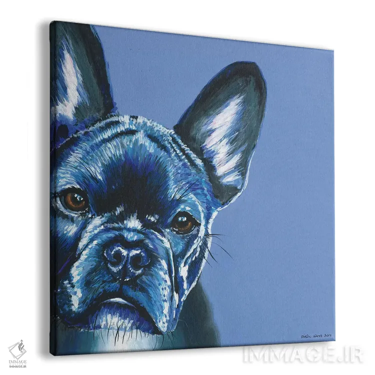 تابلو دکوراتیو فرنچ بولداگ روی زمینه آبی، مربع اثر کیرستین وود - نمای پرسپکتیو محصول