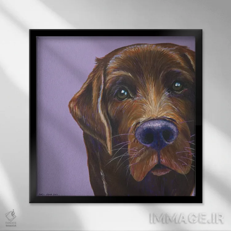 تابلو دکوراتیو لابرادور قهوه ای روی یاسی، مربع اثر کیرستین وود - نمای قابدار مشکی