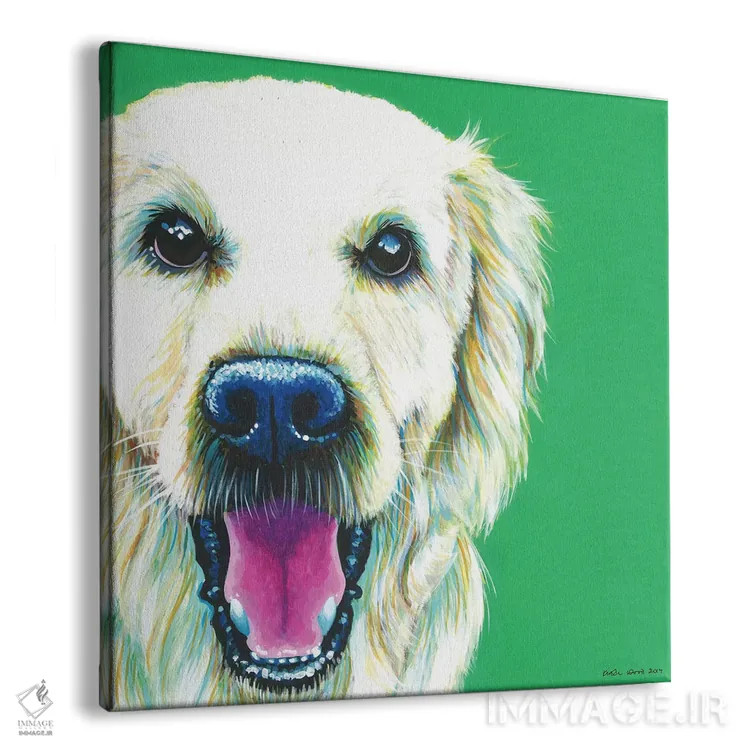 تابلو دکوراتیو گلدن رتریور روی زمینه زمردی، مربع اثر کیرستین وود - نمای پرسپکتیو محصول