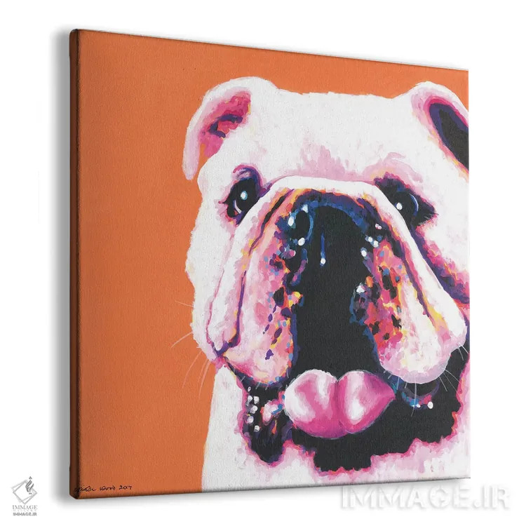 تابلو دکوراتیو بولداگ روی زمینه نارنجی، مربع اثر کیرستین وود - نمای پرسپکتیو محصول