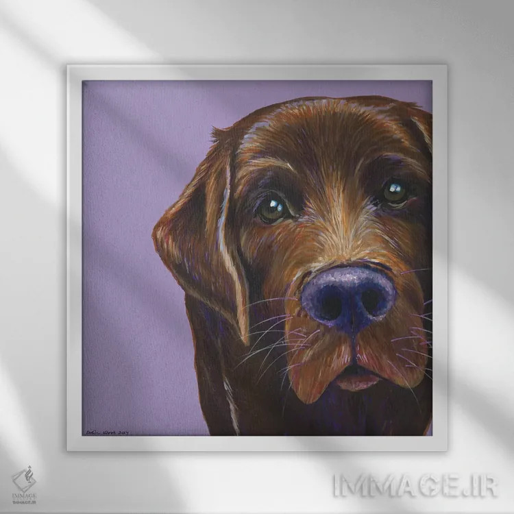 تابلو دکوراتیو لابرادور قهوه ای روی یاسی، مربع اثر کیرستین وود - نمای قابدار سفید