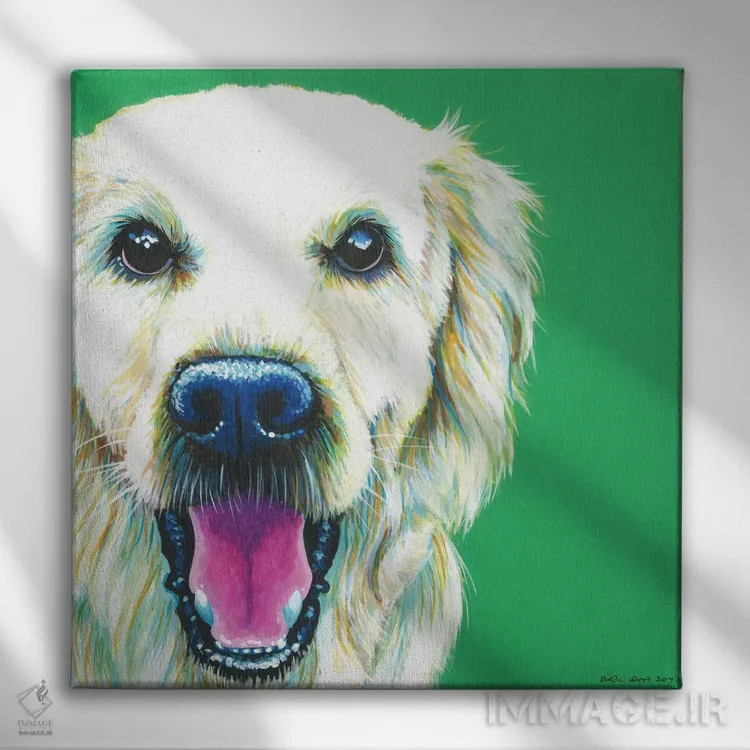 تابلو دکوراتیو گلدن رتریور روی زمینه زمردی، مربع اثر کیرستین وود - نمای روبهرو روی دیوار