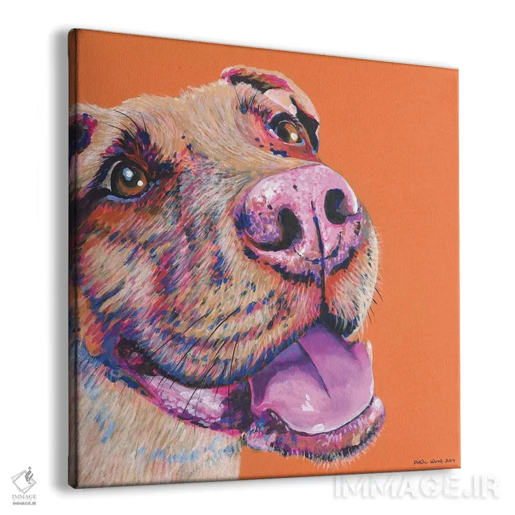 تابلو دکوراتیو پیت بول روی زمینه نارنجی، مربع اثر کیرستین وود - نمای پرسپکتیو محصول