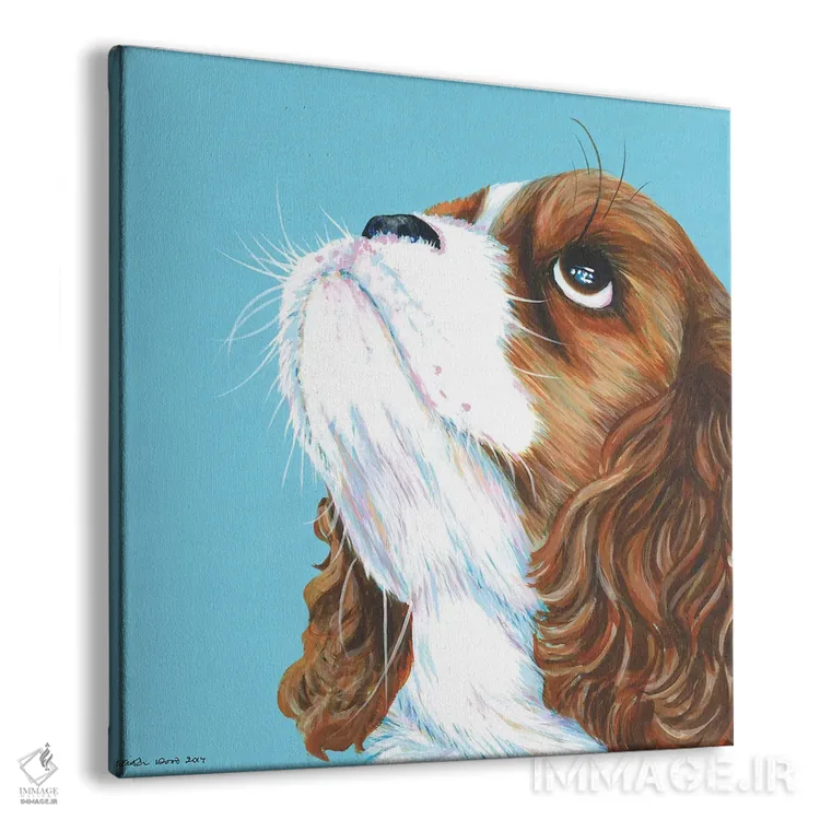 تابلو دکوراتیو کاولیر کینگ چارلز روی زمینه آبی آبی، مربع اثر کیرستین وود - نمای پرسپکتیو محصول