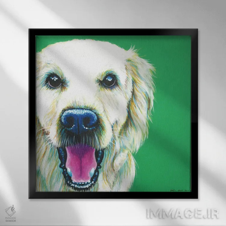 تابلو دکوراتیو گلدن رتریور روی زمینه زمردی، مربع اثر کیرستین وود - نمای قابدار مشکی