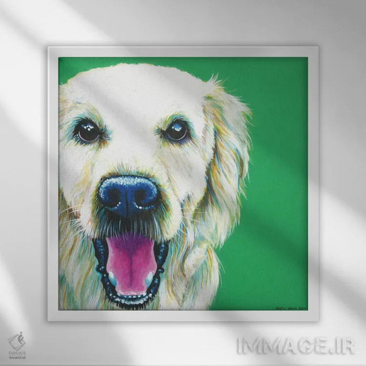 تابلو دکوراتیو گلدن رتریور روی زمینه زمردی، مربع اثر کیرستین وود - نمای قابدار سفید