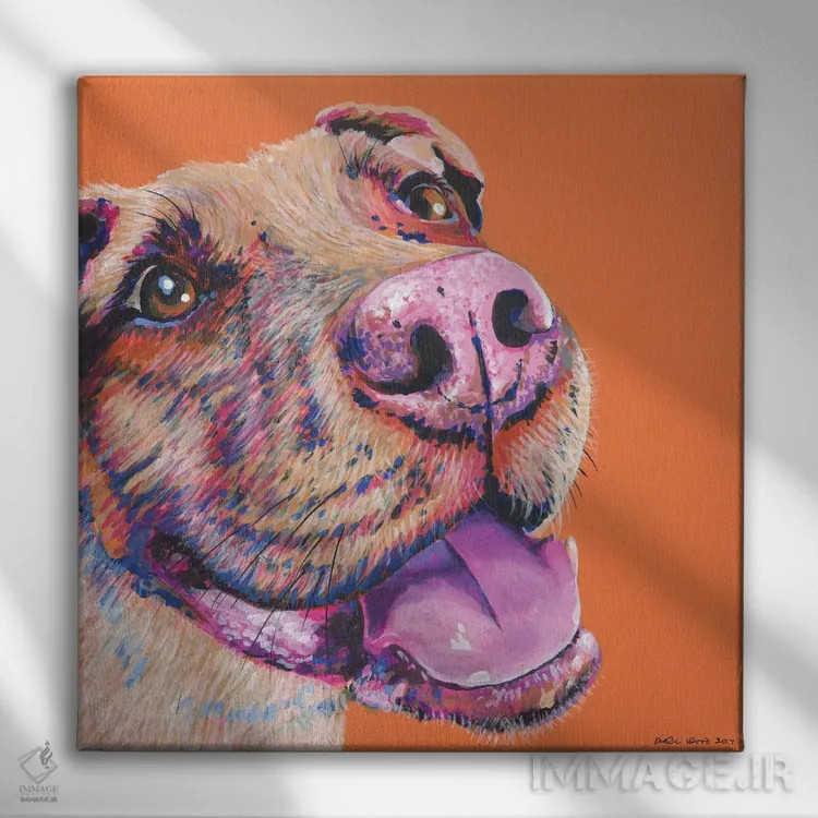 تابلو دکوراتیو پیت بول روی زمینه نارنجی، مربع اثر کیرستین وود - نمای روبهرو روی دیوار