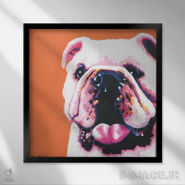 تابلو دکوراتیو بولداگ روی زمینه نارنجی، مربع اثر کیرستین وود - نمای قابدار مشکی