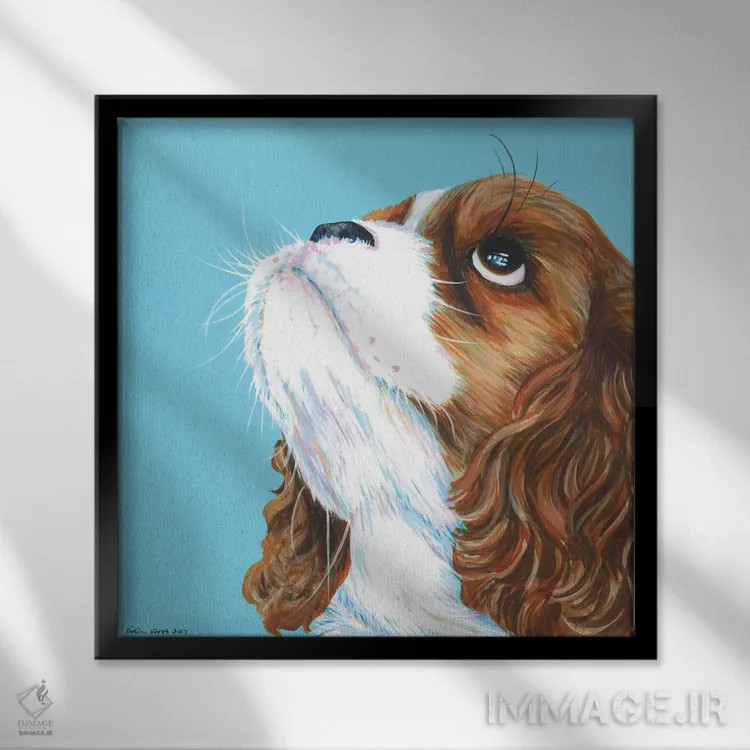 تابلو دکوراتیو کاولیر کینگ چارلز روی زمینه آبی آبی، مربع اثر کیرستین وود - نمای قابدار مشکی