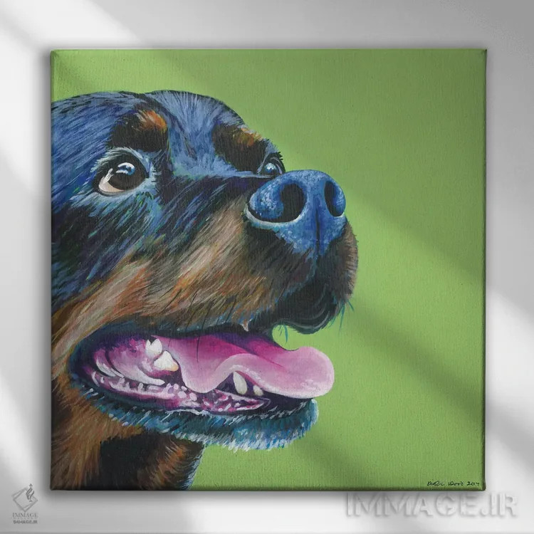 تابلو دکوراتیو روتوایلر روی زمینه سبز لیمویی، مربع اثر کیرستین وود - نمای روبهرو روی دیوار