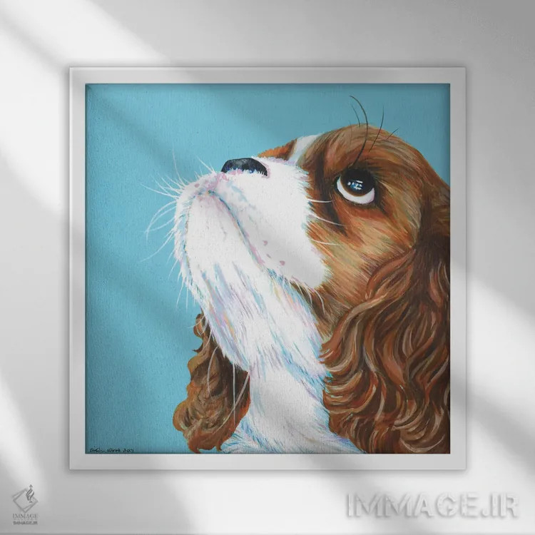 تابلو دکوراتیو کاولیر کینگ چارلز روی زمینه آبی آبی، مربع اثر کیرستین وود - نمای قابدار سفید