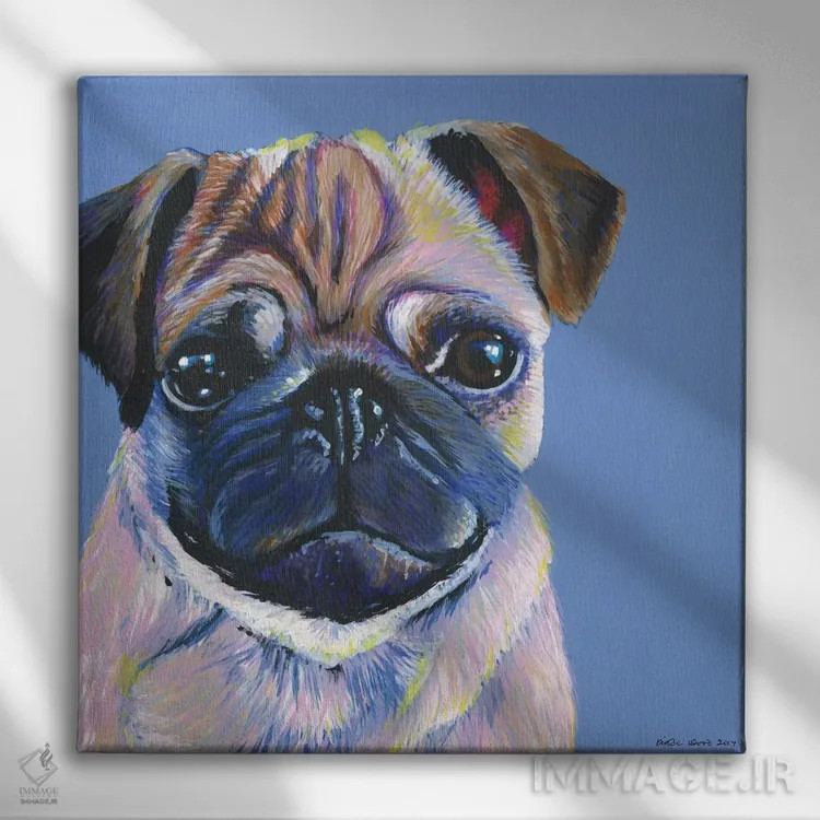 تابلو دکوراتیو پاگ روی زمینه آبی، مربع اثر کیرستین وود - نمای روبهرو روی دیوار