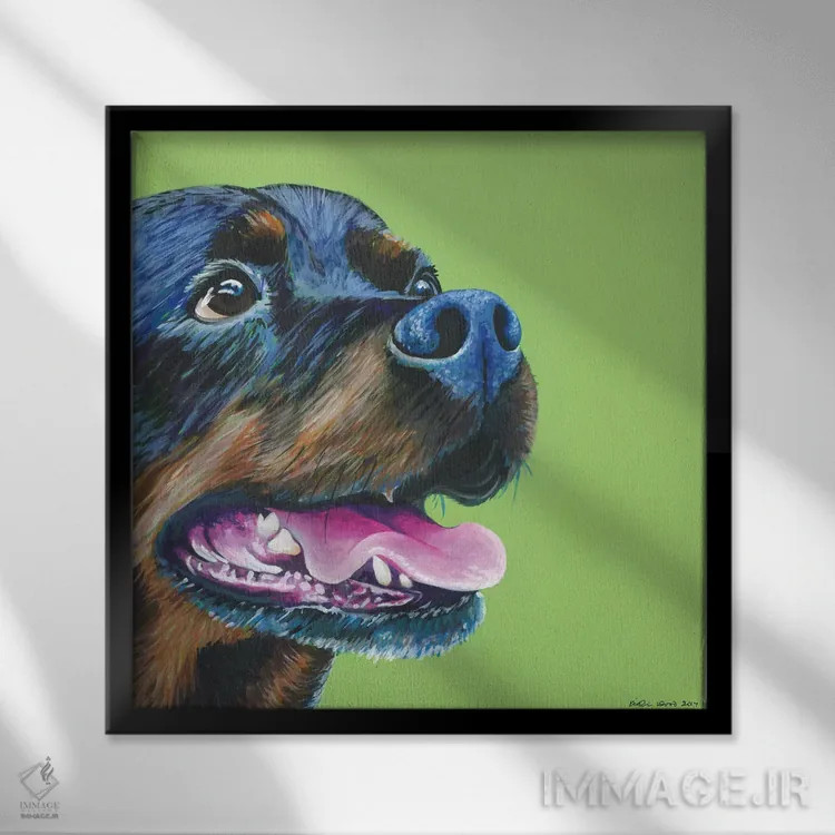 تابلو دکوراتیو روتوایلر روی زمینه سبز لیمویی، مربع اثر کیرستین وود - نمای قابدار مشکی