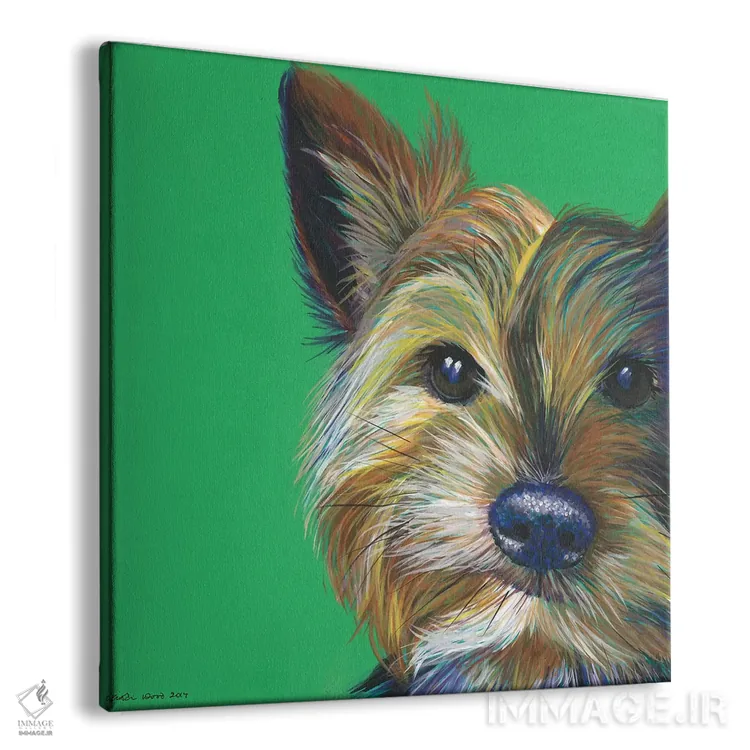 تابلو دکوراتیو یورکشایر تریر روی زمینه زمردی، مربع اثر کیرستین وود - نمای پرسپکتیو محصول