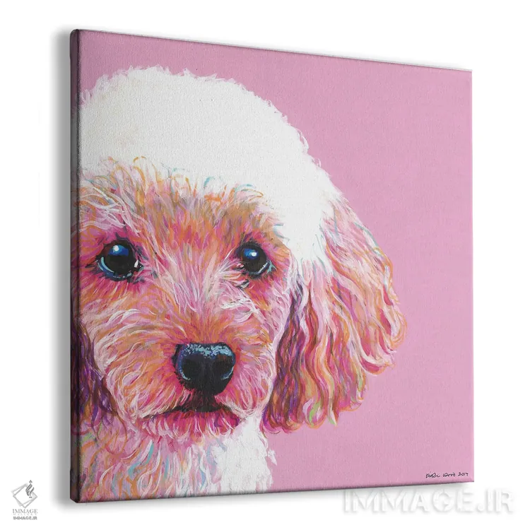 تابلو دکوراتیو پودل روی زمینه صورتی، مربع اثر کیرستین وود - نمای پرسپکتیو محصول