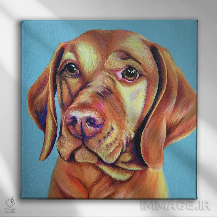 تابلو دکوراتیو ویزلا روی زمینه آبی تخم مرغی اثر کیرستین وود - نمای روبهرو روی دیوار