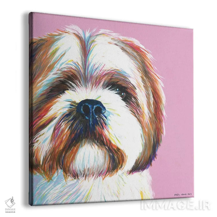 تابلو دکوراتیو شیتزو روی زمینه صورتی، مربع اثر کیرستین وود - نمای پرسپکتیو محصول