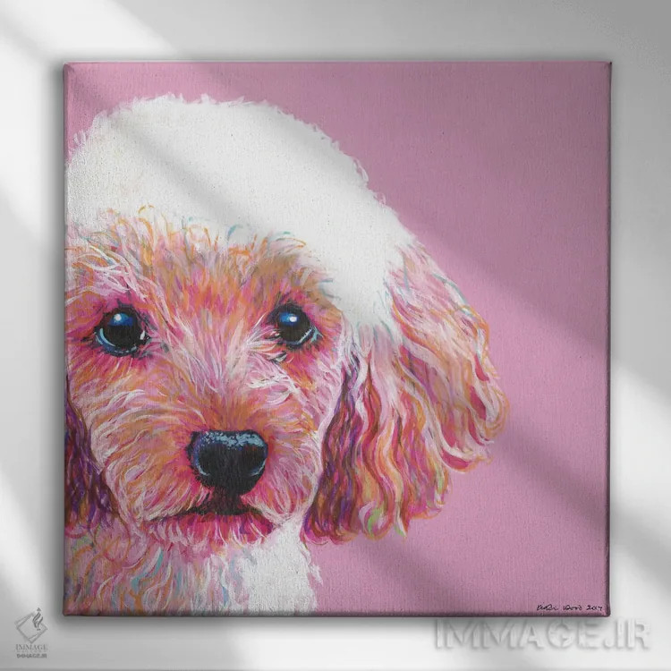 تابلو دکوراتیو پودل روی زمینه صورتی، مربع اثر کیرستین وود - نمای روبهرو روی دیوار